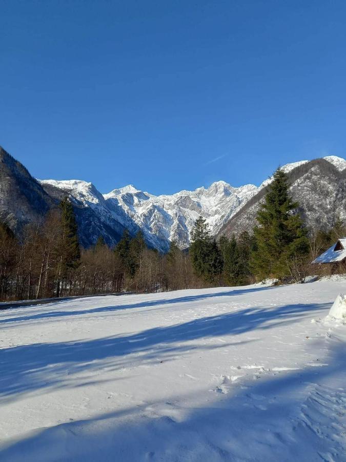 Lepa Lopa Resort Stahovica Exteriör bild