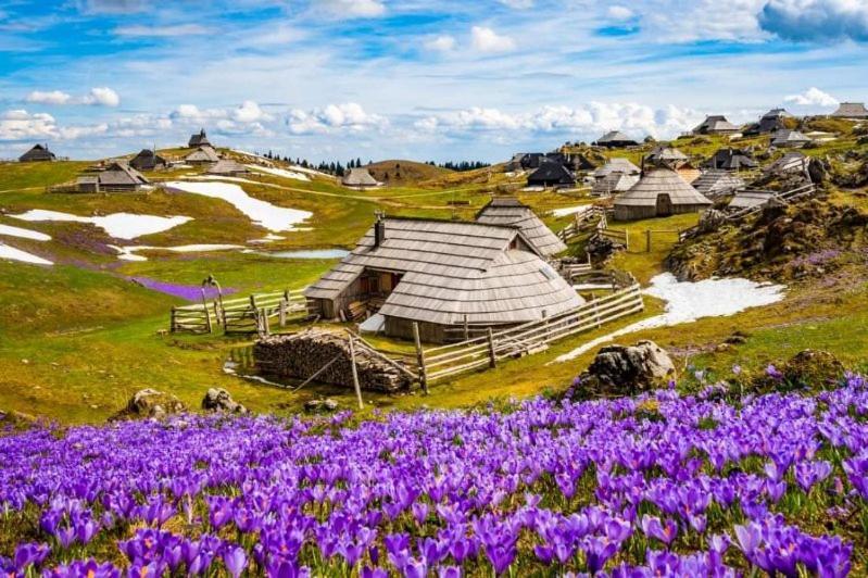Lepa Lopa Resort Stahovica Exteriör bild