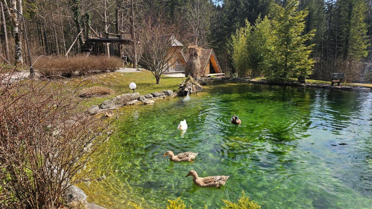 Lepa Lopa Resort Stahovica Exteriör bild
